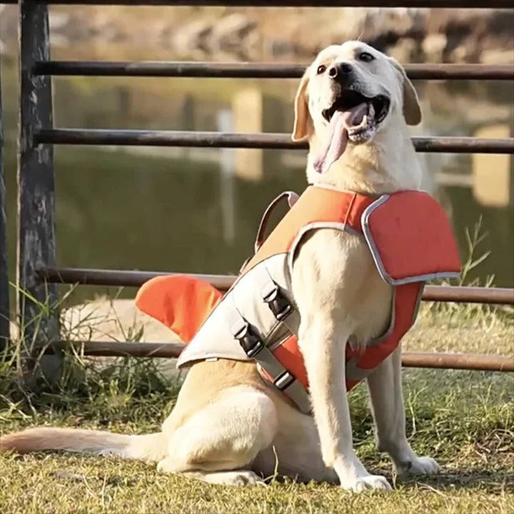 Sicherer Schwimmweste für Hunde mit Auftriebshilfe