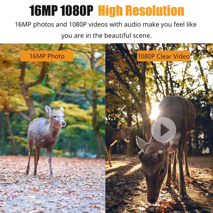 1080P Trail Camera with Night Vision and Fast Trigger Speed