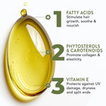 Vitalisierendes Haaröl mit Rosmarin und Vitamin E für intensive Feuchtigkeit