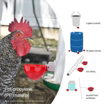 10-pack Automatic Poultry Waterer