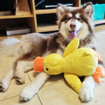 Gummienten-Spielzeug für Hunde mit verstärkten Nähten