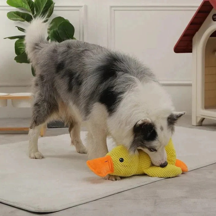 Playful Duck Squeaky Dog Toy with Reinforced Seams