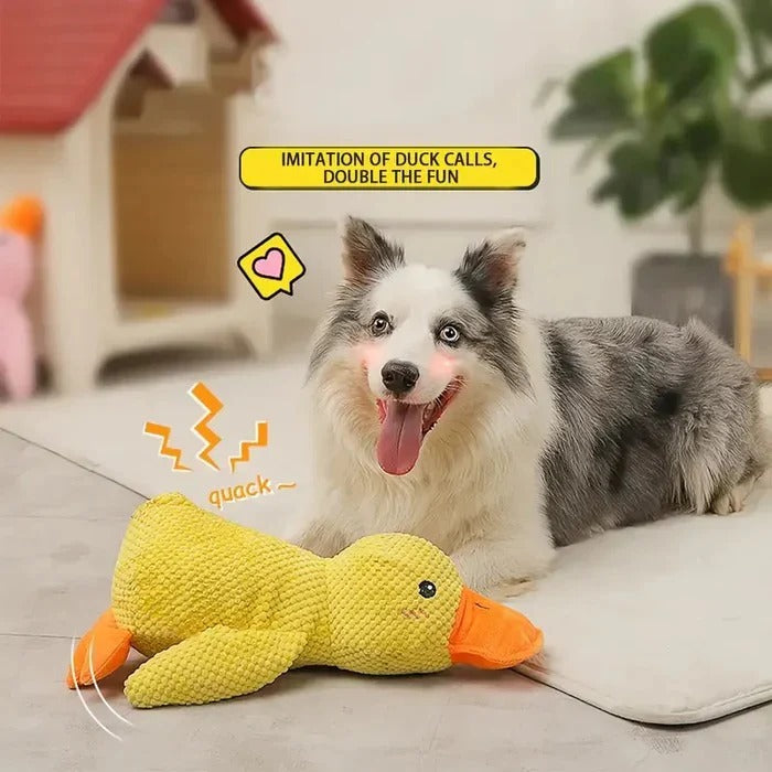 Gummienten-Spielzeug für Hunde mit verstärkten Nähten