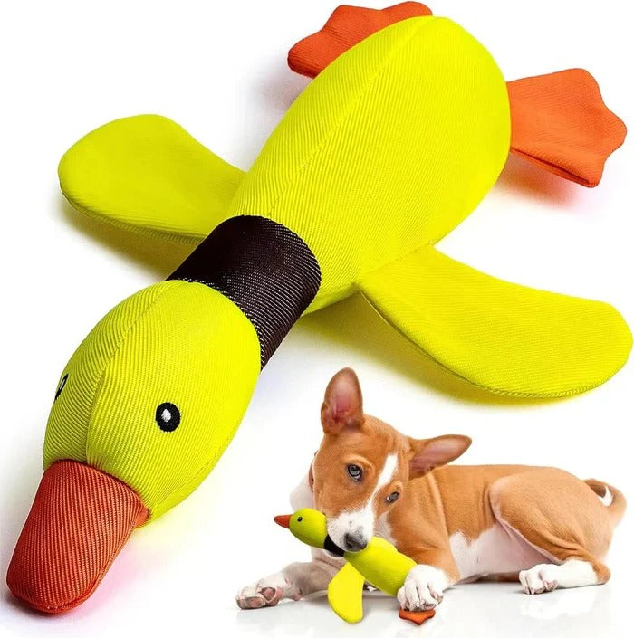 Robustes Enten-Plüschspielzeug für Hunde mit Textur