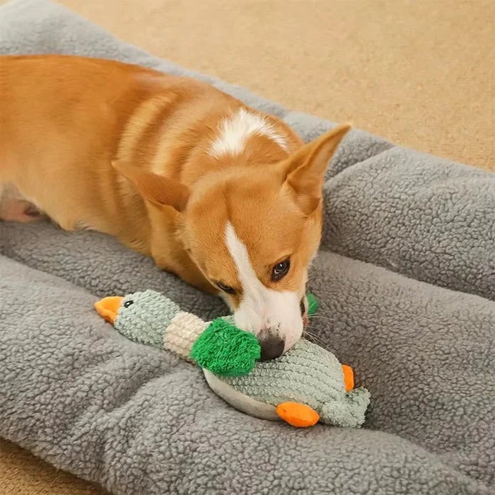 Robustes Plüschspielzeug für Hunde mit strapazierfähigem Material
