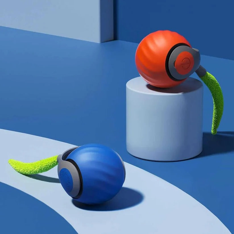 Interactive Cat Toy with Tail Design - Set of 2 for Indoors