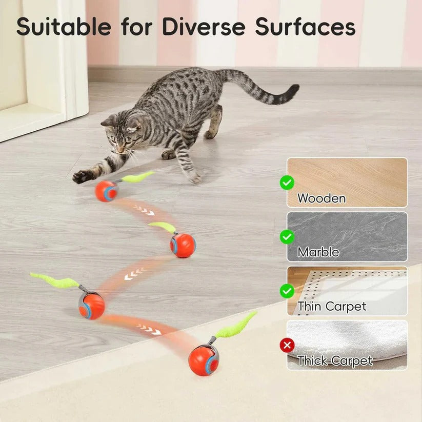 Interactive Cat Toy with Tail Design - Set of 2 for Indoors