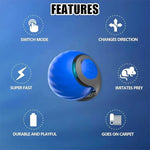 Interactive Cat Toy with Tail Design - Set of 2 for Indoors