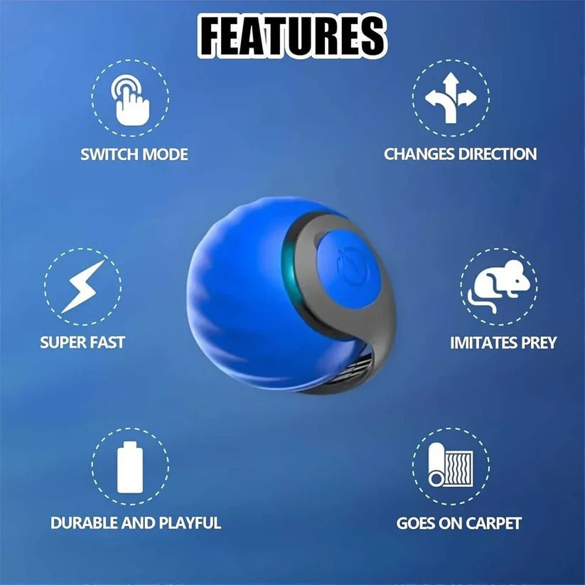 Interactive Cat Toy with Tail Design - Set of 2 for Indoors