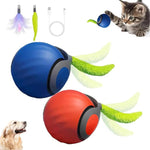 Interactive Cat Toy with Tail Design - Set of 2 for Indoors