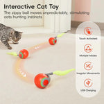 Interactive Cat Toy with Tail Design - Set of 2 for Indoors