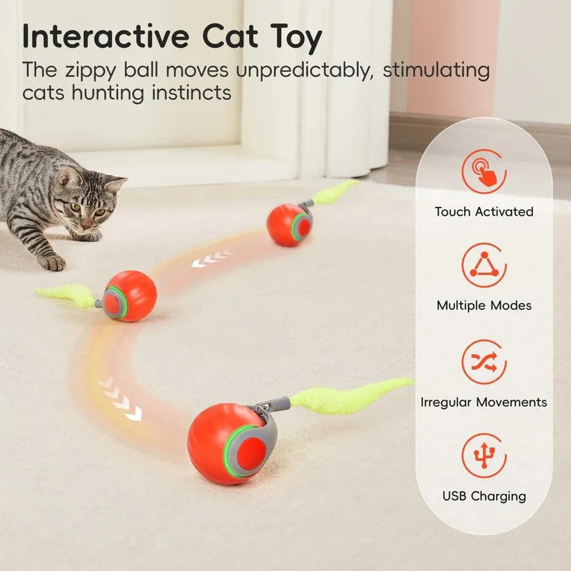 Interactive Cat Toy with Tail Design - Set of 2 for Indoors