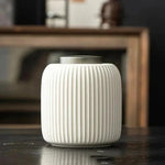 Elegant Ceramic Urn with Secure Lid for Your Pet's Memory