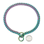 Robuster Hundehalsband aus Edelstahl mit Verstellkette