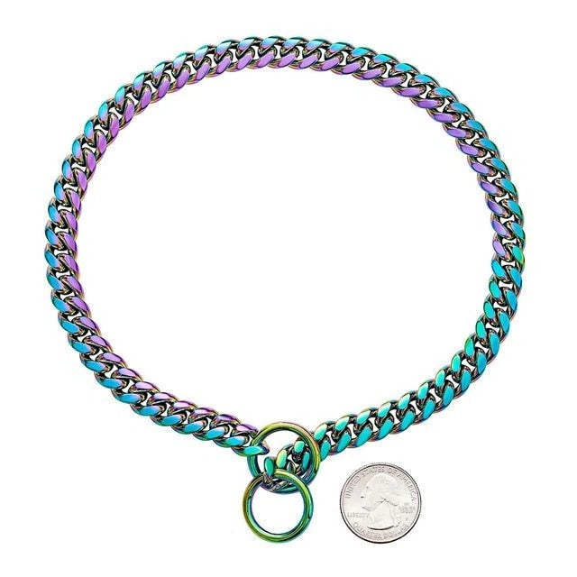 Robuster Hundehalsband aus Edelstahl mit Verstellkette