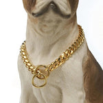 Robuster Hundehalsband aus Edelstahl mit Verstellkette