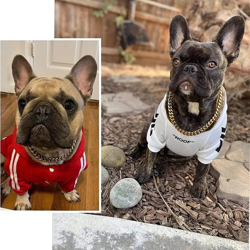 Verstellbarer Edelstahl-Hundehalsband mit Robuster Kette