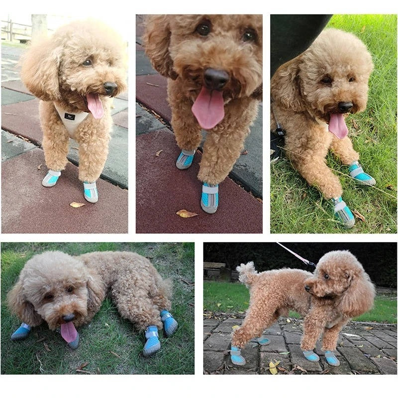 Wasserfeste, Atmungsaktive Hundeschuhe mit Rutschfester Sohle – 4er Set