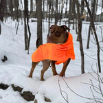 Waterproof and Windproof Dog Rain Jacket with All-Around Protection