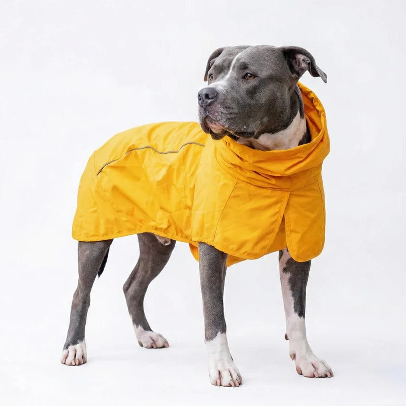 Waterproof and Windproof Dog Rain Jacket with All-Around Protection