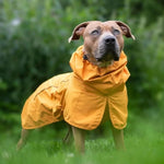 Waterproof and Windproof Dog Rain Jacket with All-Around Protection