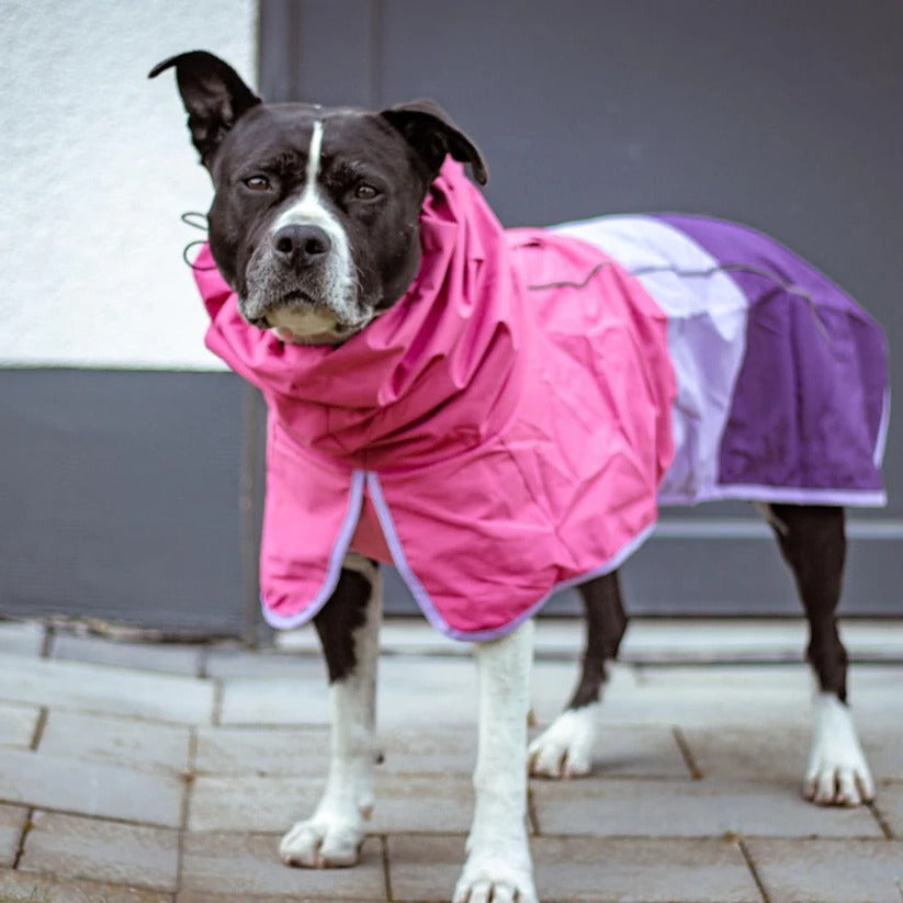 Waterproof and Windproof Dog Rain Jacket with All-Around Protection