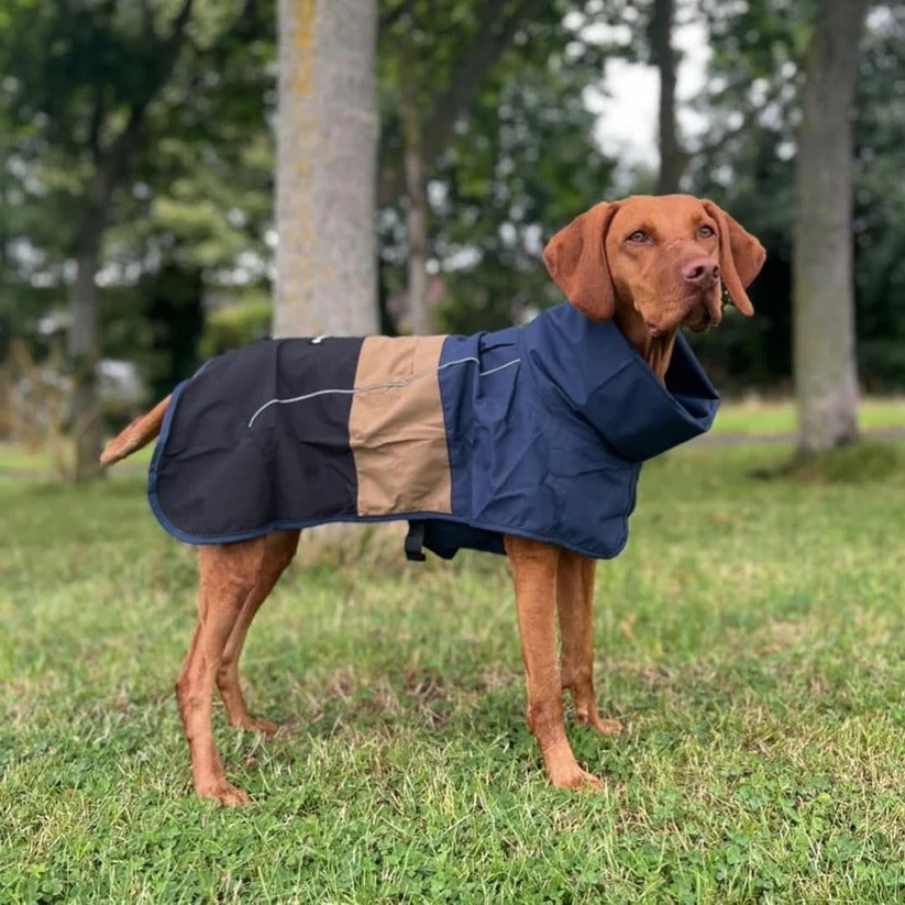 Waterproof and Windproof Dog Rain Jacket with All-Around Protection