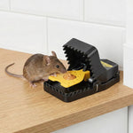 Reusable Single-Catch Mousetrap – Set of 4