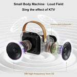 Portable karaoke system with Bluetooth and two microphones