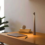 Portable Aluminum Table Lamp with USB Charging and Dimming Function