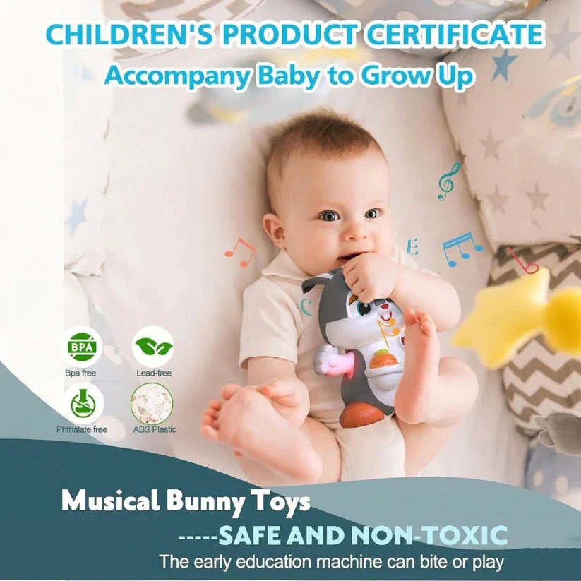 Musical Cuddly Bunny for Crawling Babies aged 6 to 12 Months