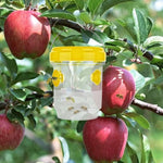 Fruit fly traps - Insect trap for combating fruit flies