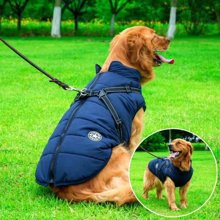 Wasserdichte Winterjacke für Hunde