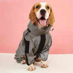 Wasserdichter Hundemantel mit Anpassbarem Schnitt