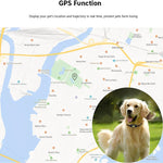 Intelligenter GPS-Halsband für Haustiere mit App-Integration und verstellbarem Riemen
