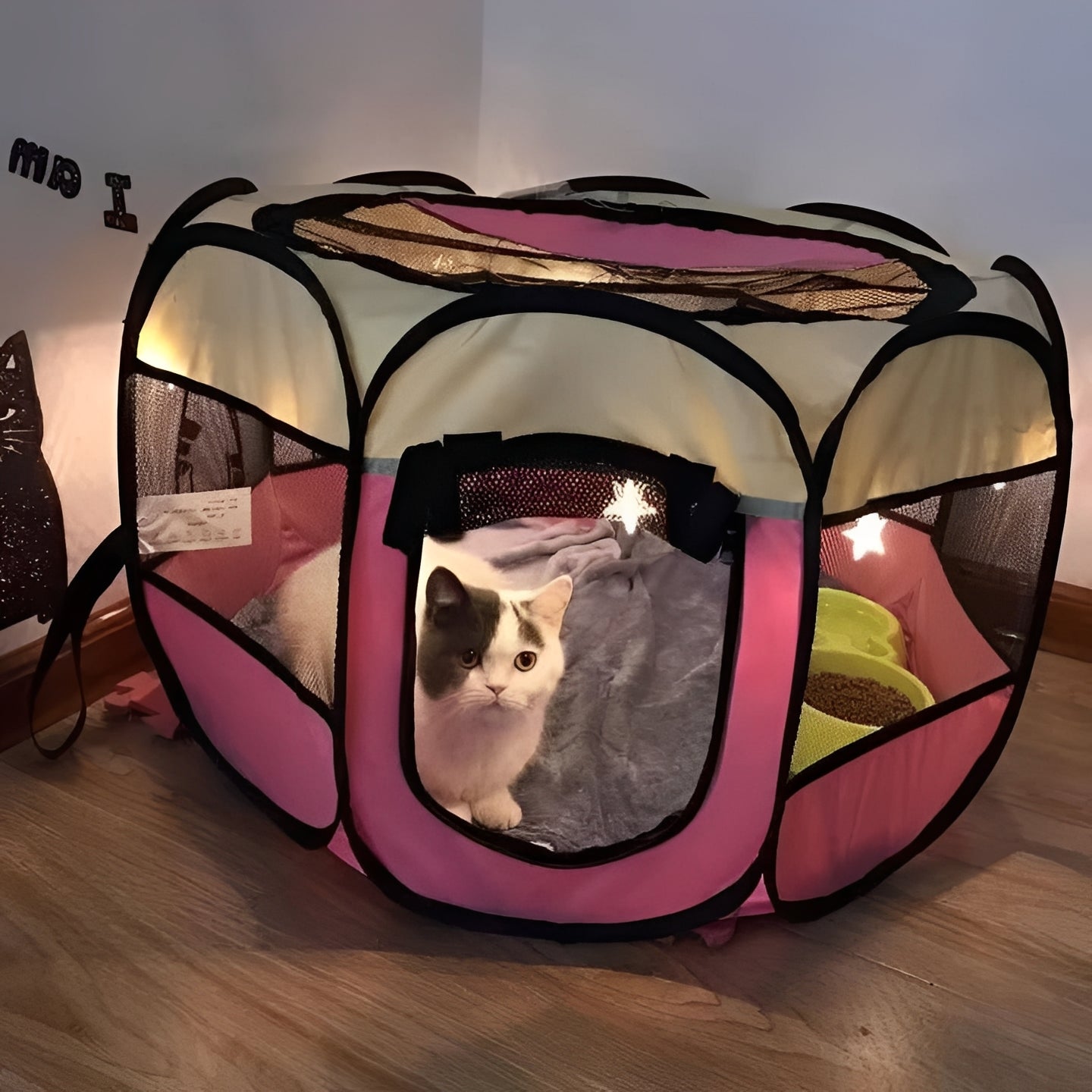 Sicheres Spielzelt für Katzen und kleine Hunde – Pop-Up Design