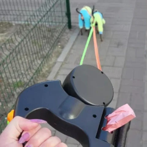 Dual Dog Leash with LED Light and 360° Swivel, Tangle-Free