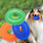 Rubber Ring Dog Toy with Integrated Squeaker