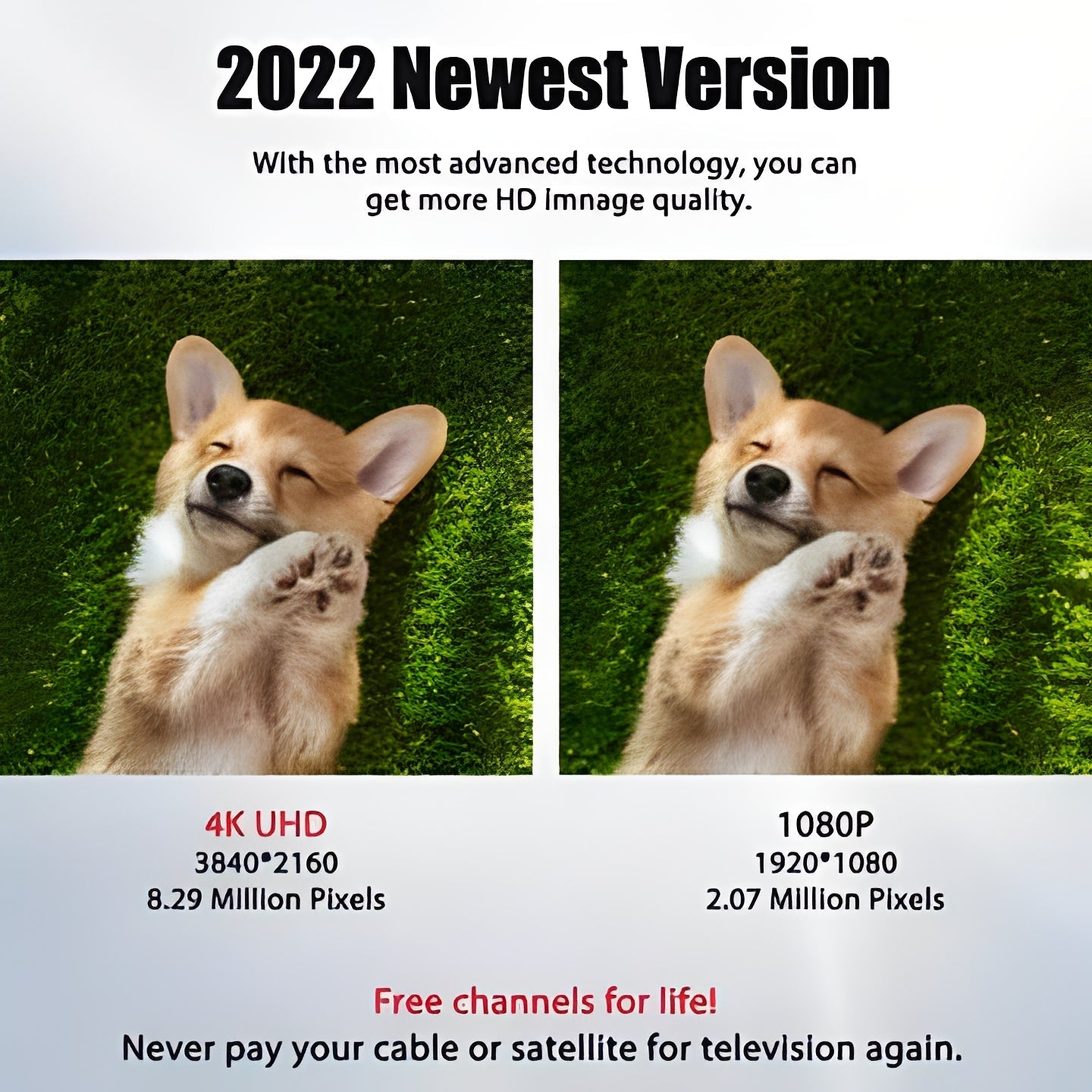 Digitale TV-Antenne für Empfang von terrestrischen Sendungen