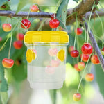 Fruit fly traps - Insect trap for combating fruit flies