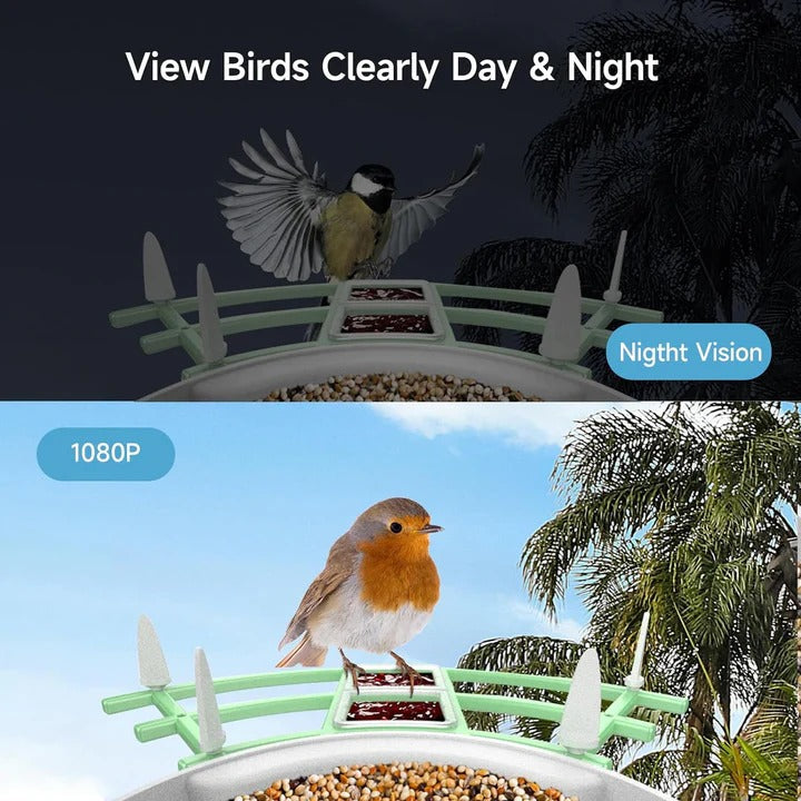 Bird Feeder with Camera and App Control