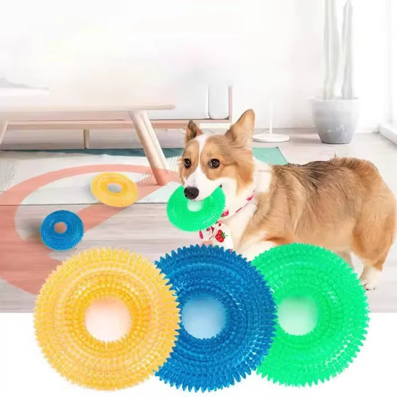 Rubber Ring Dog Toy with Integrated Squeaker