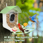 Bird Feeder with Camera and App Control
