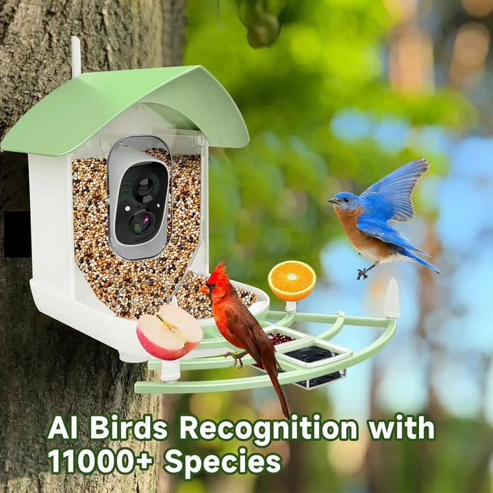 Bird Feeder with Camera and App Control