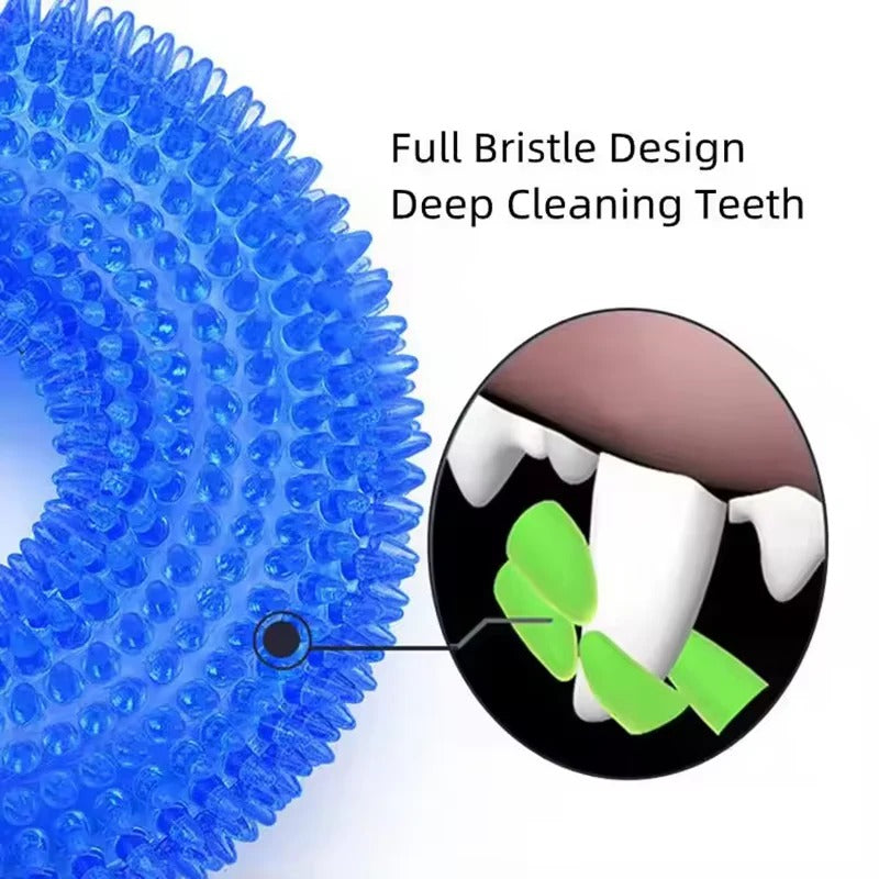 Rubber Ring Dog Toy with Integrated Squeaker