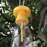 Fruit fly trap with hanging protective lid