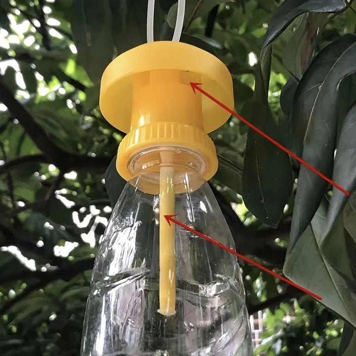 Fruit fly trap with hanging protective lid
