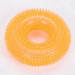 Rubber Ring Dog Toy with Integrated Squeaker