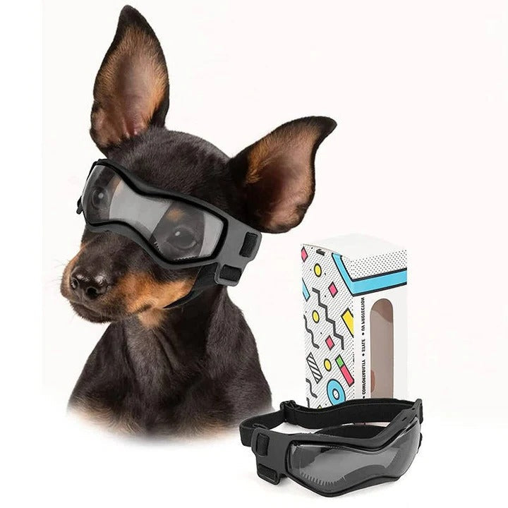 Luftige Hundebrille mit Verstellbarem Gurt