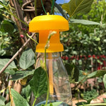 Fruit fly trap with hanging protective lid